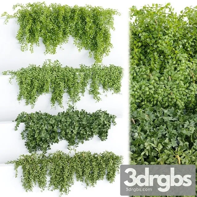 Hanging Wall Plants Collection Vol 64 3D Model Free