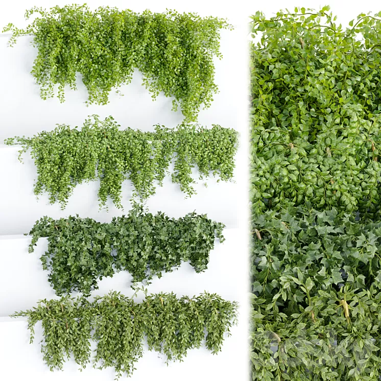 Hanging wall plants collection vol 64 3D Model Free