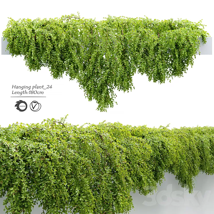 Hanging_Plant_24 3D Model Free