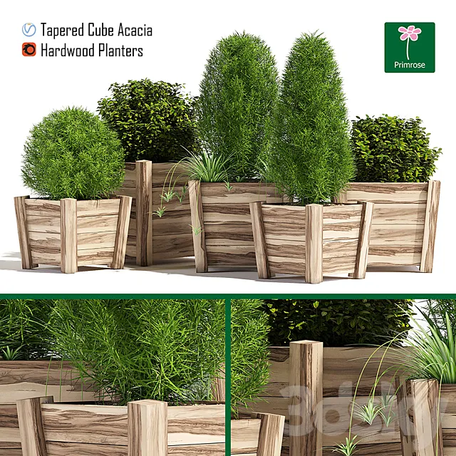 Hardwood planters 3DModel