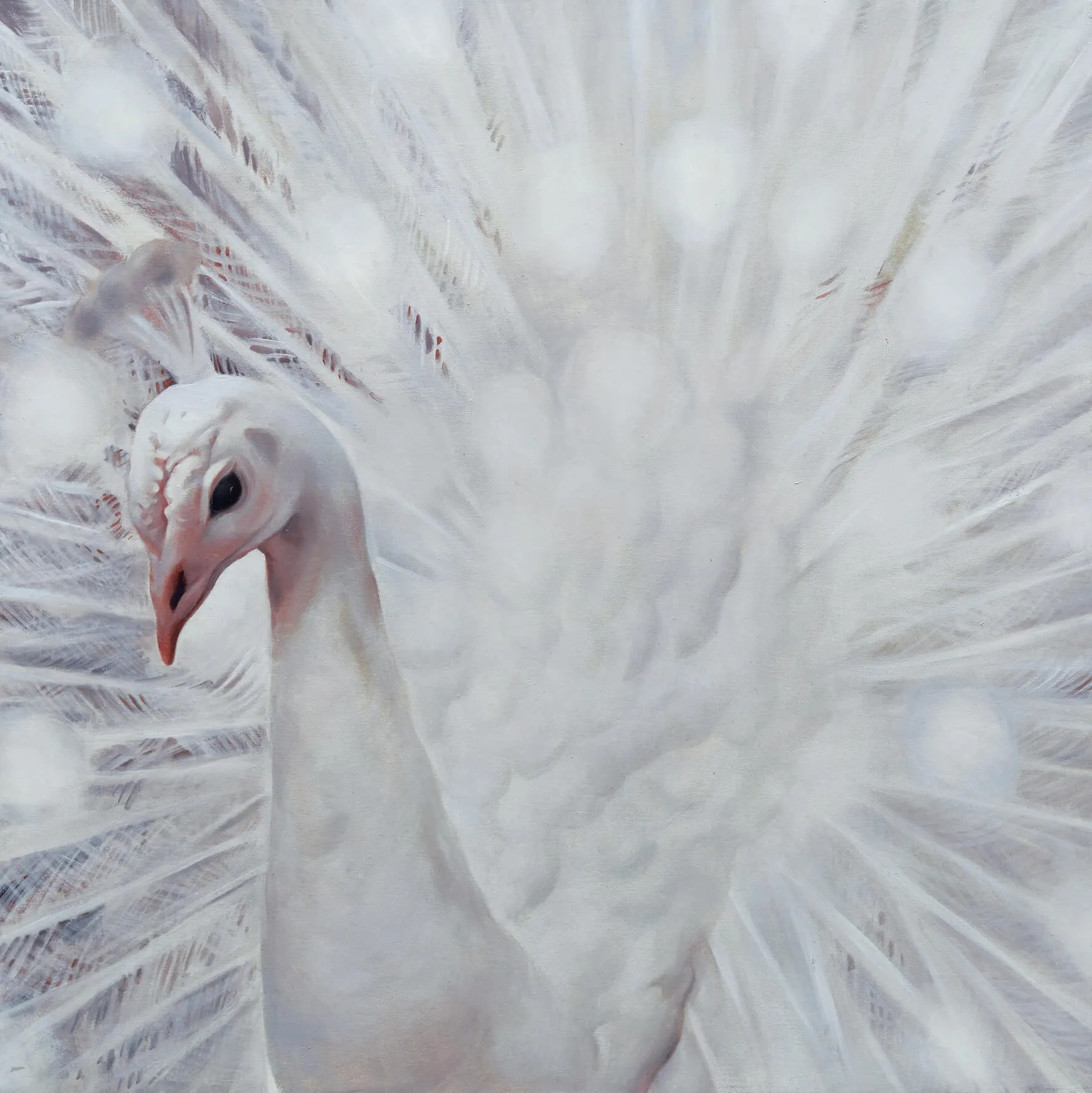 Hasmik Avetisyan  - Pictures art 22 3D Model