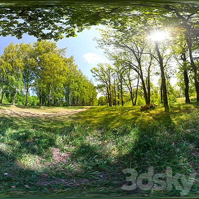 HDRI Forest Free Download