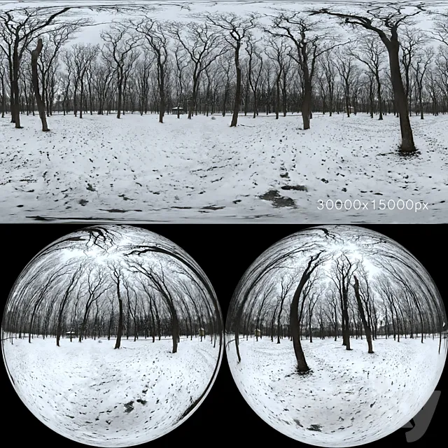 HDRI map from the winter park. 30k 3DModel