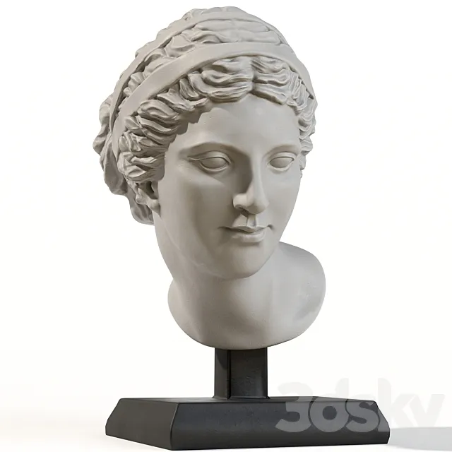Head of aphrodite 3D Model