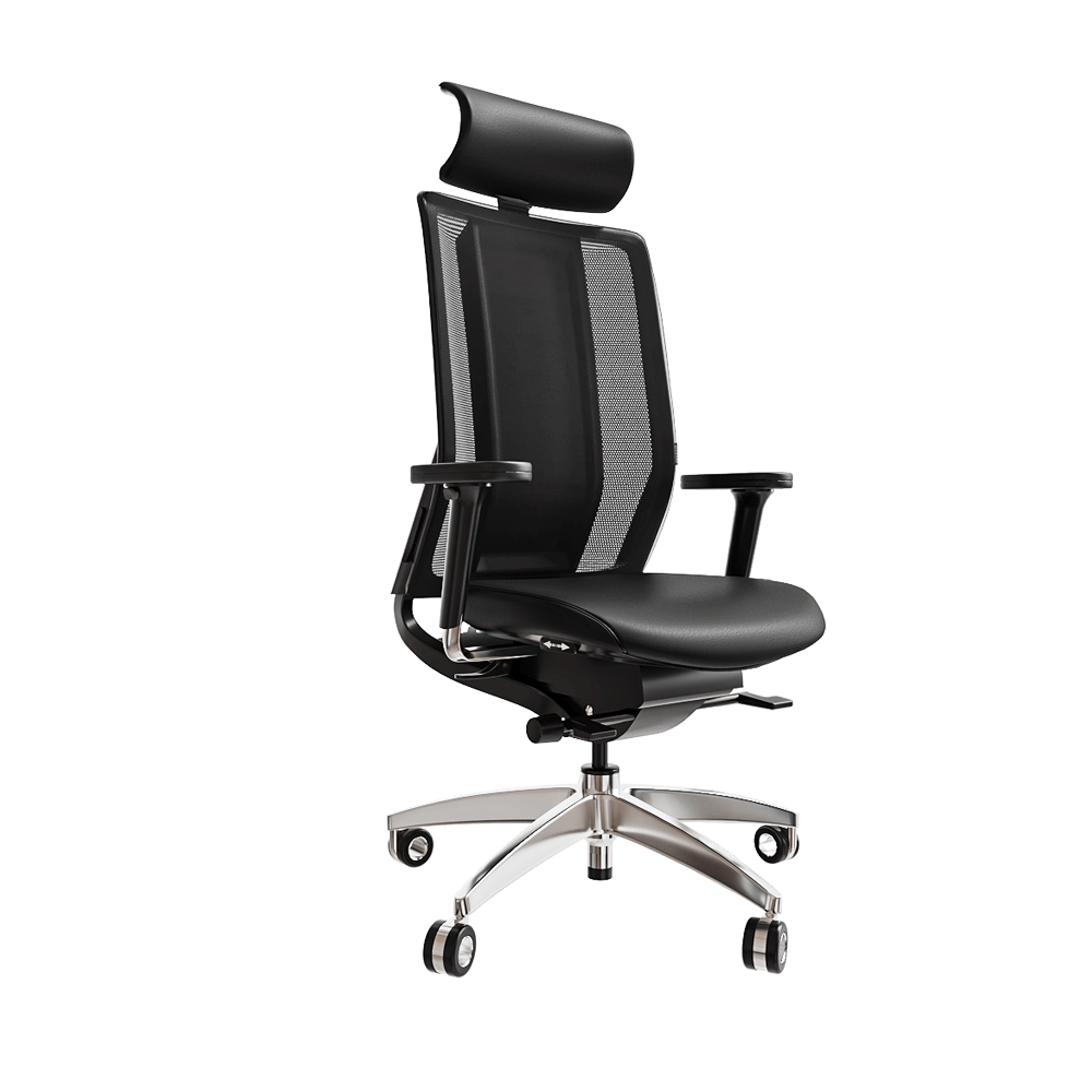 Health office - Armchair Imedic Limited 3D Model