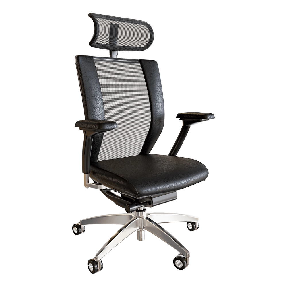 Health office - Armchair Titan Limited 3D Model