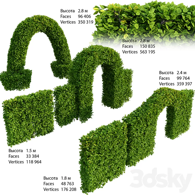 Hedge 3D Model