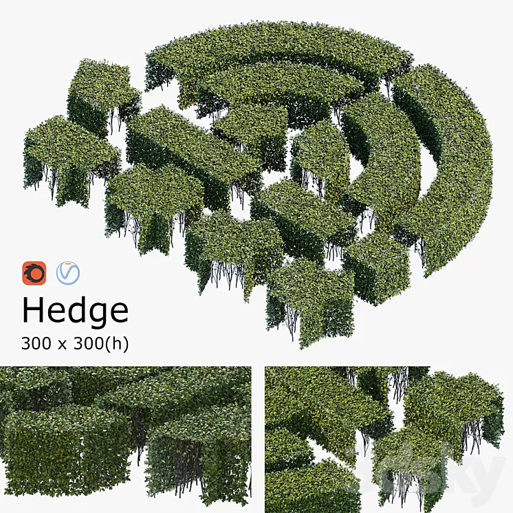 Hedge 3x3 3D Model