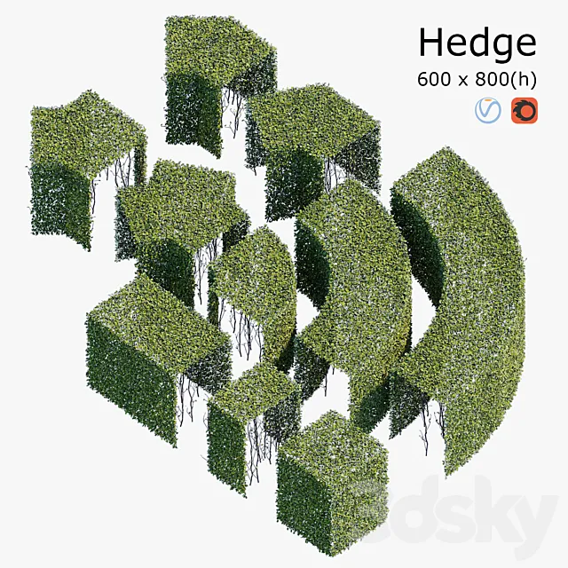 Hedge 6x8 3D Model