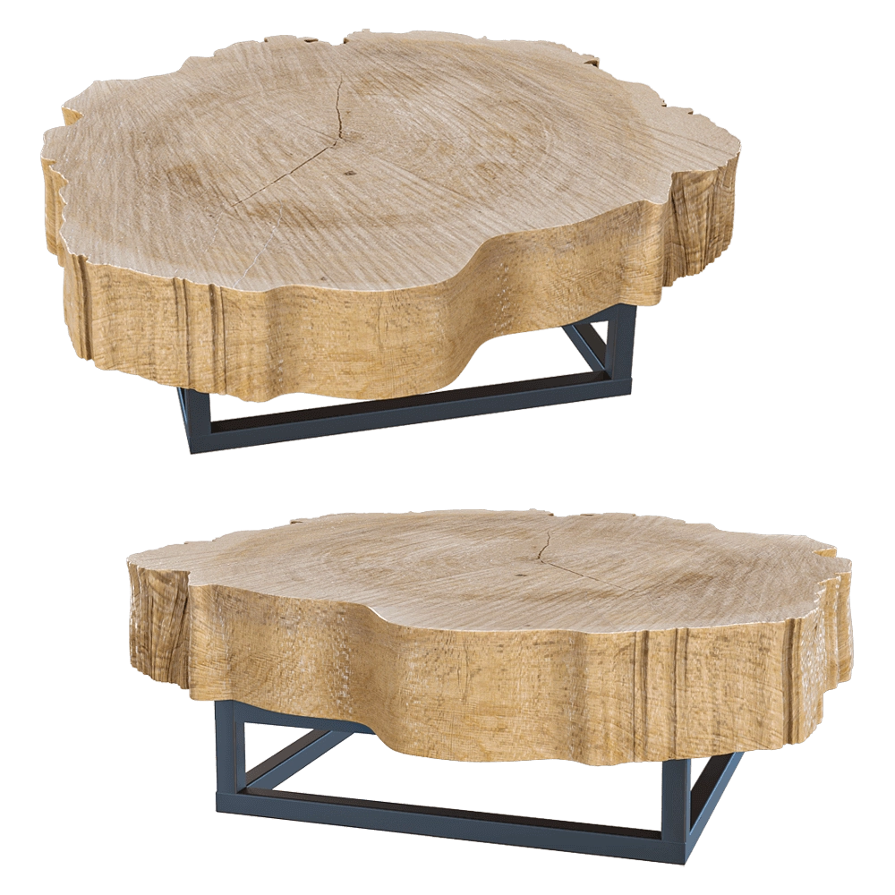 Heerenhuis Manufactuur - Coffee table Poplar 20 3D Model
