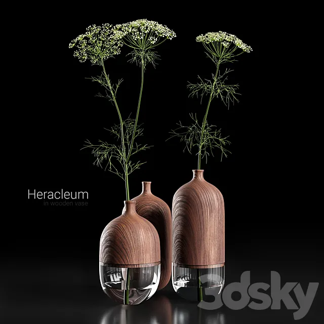 Heracleum in wooden vase 3DModel