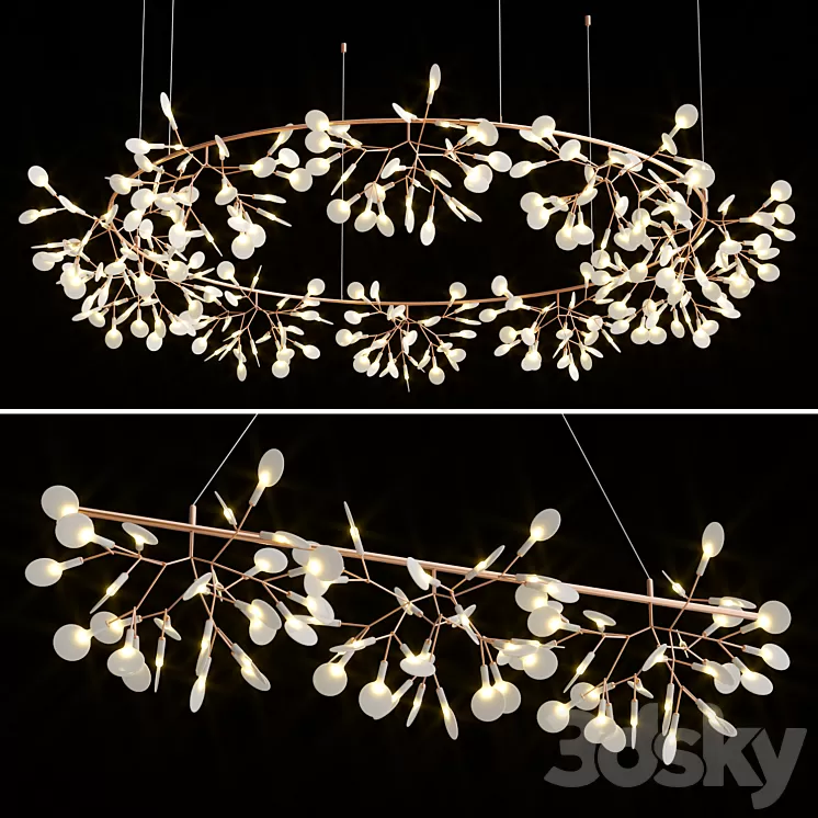 Heracleum the Big O Collection 3D Model Free