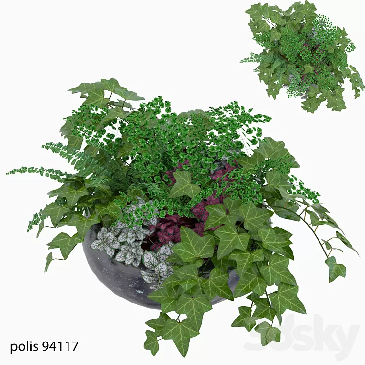 Herbal composition vol1