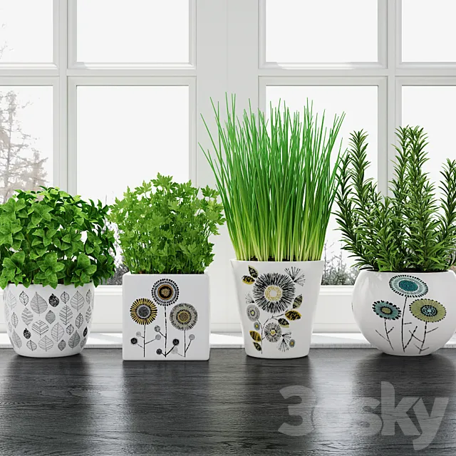 Herbs in pots 3D Model