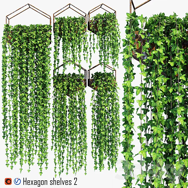 Hexagon shelves 2 3D Model