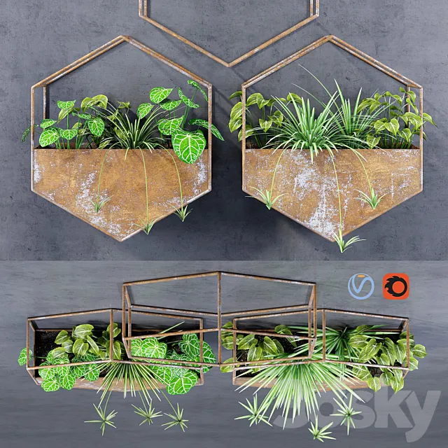 Hexagon shelves 3D Model