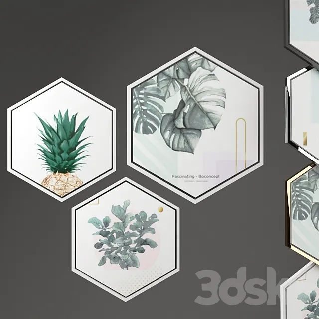 Hexagonal picture frames 3DModel