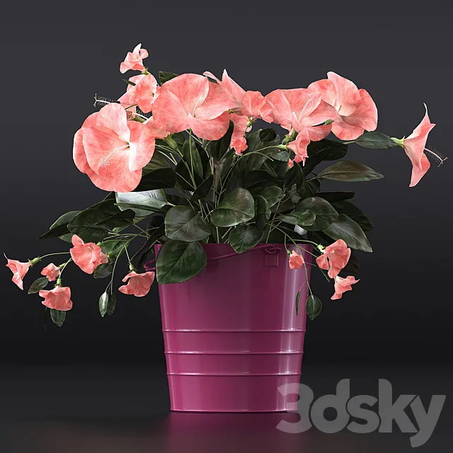 Hibiscus 3DModel