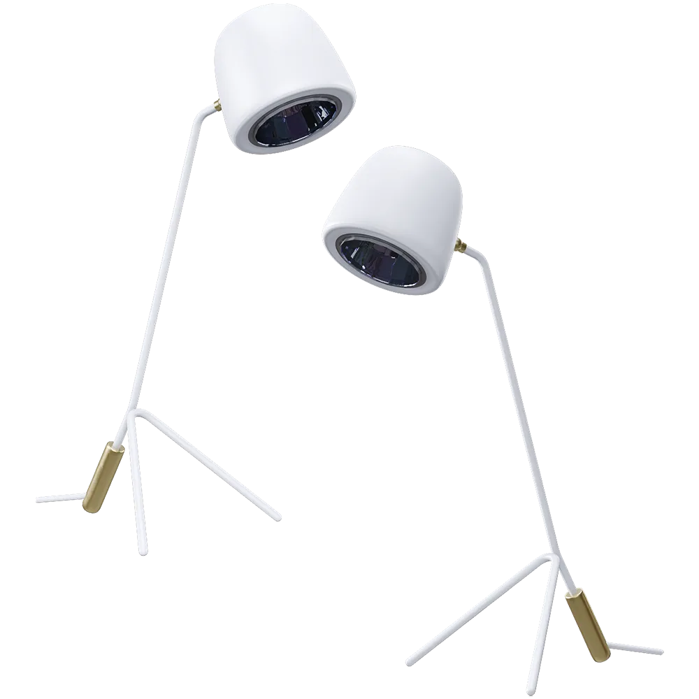 HIND RABII - Table lamp Ice Donna S 3D Model