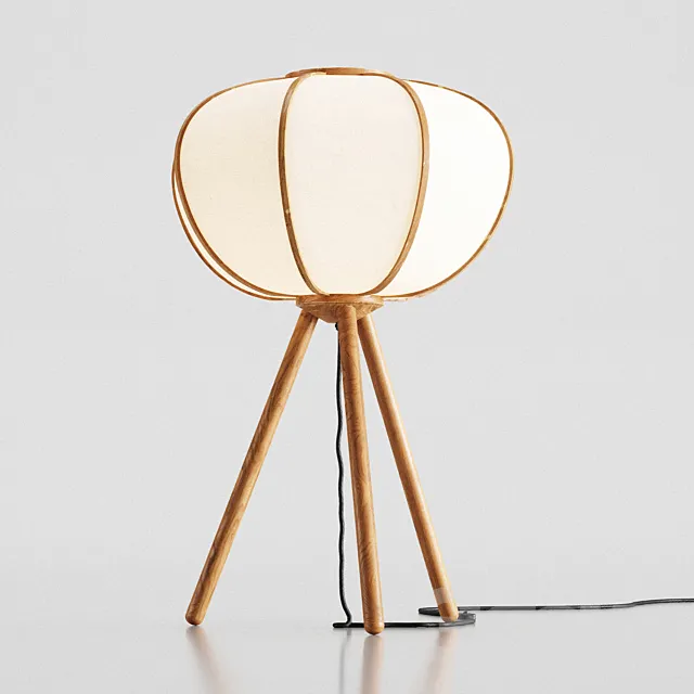 H&M Bamboo floor lamp 3D Model