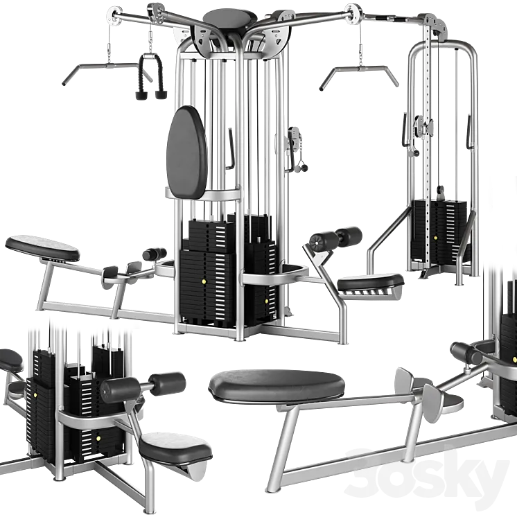 HOIST MULTI JUNGLE GYM SYSTEM CMJ-6600-S 6 STATION 3D Model Free