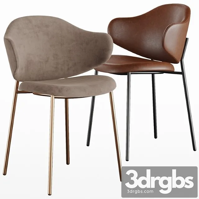 Holly chair calligaris 2 3D Model Free