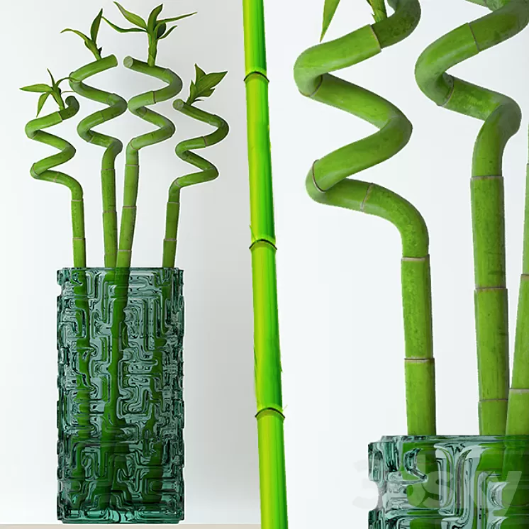 Home bamboo 3D Model