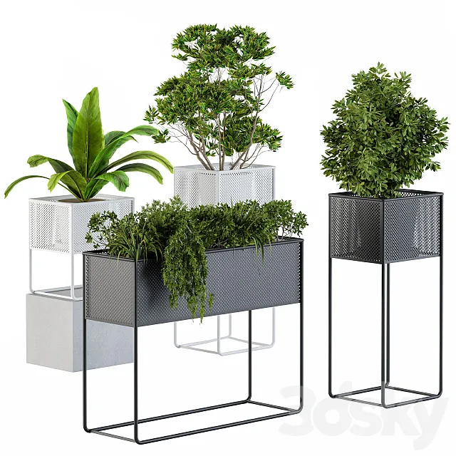 Home Set Plants Metal Box 3D Model