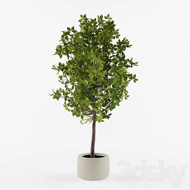 Homemade tree 3D Model