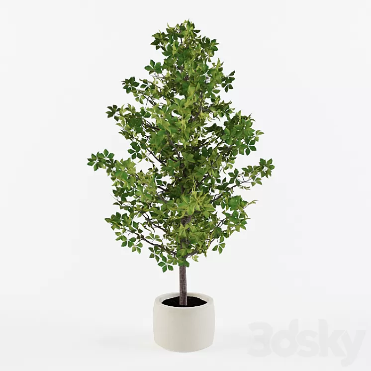 Homemade tree 3D Model