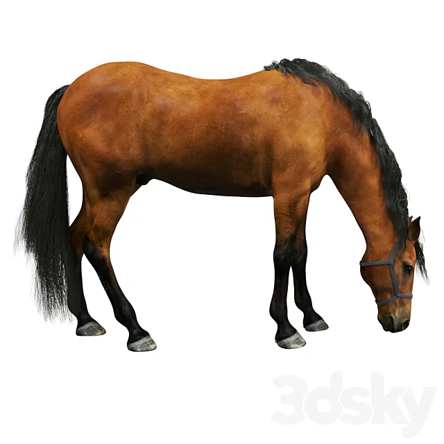 Horse Free Download