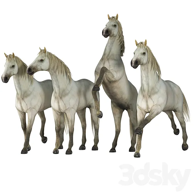 Horse in 04 Poses Free Download