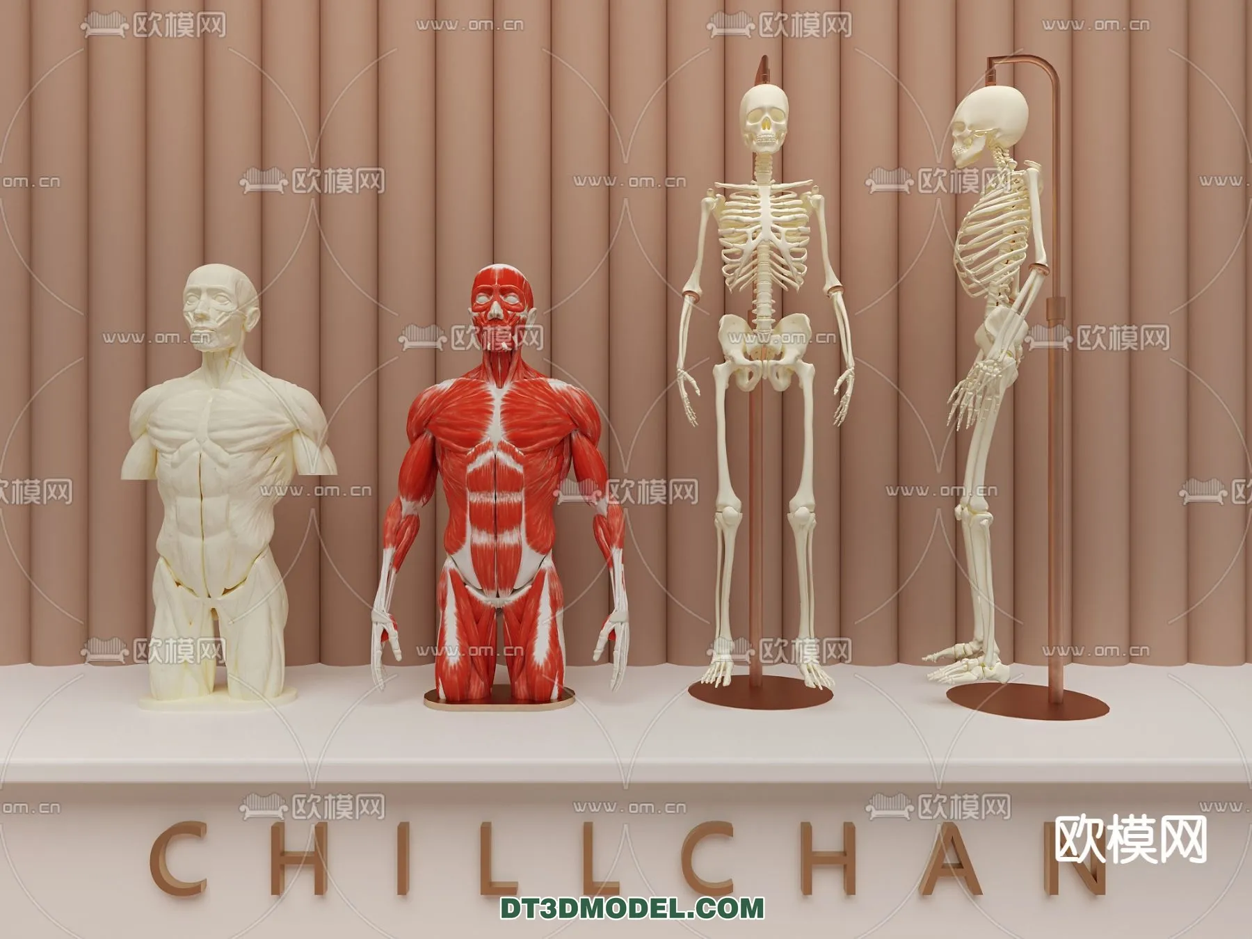 HOSPITAL CLINIC - 3D Model For Interior Design - 11325