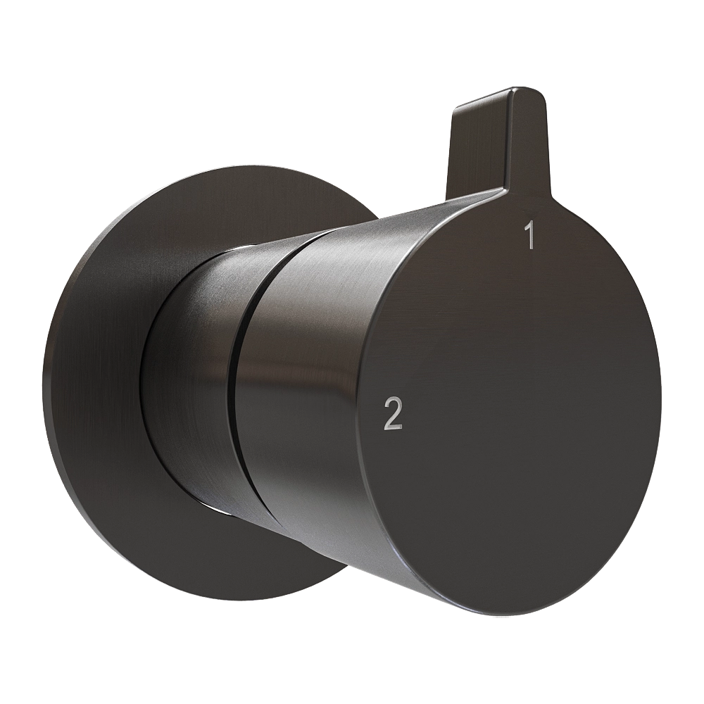 Hotbath srl - 2-way concealed diverter AC111 3D Model