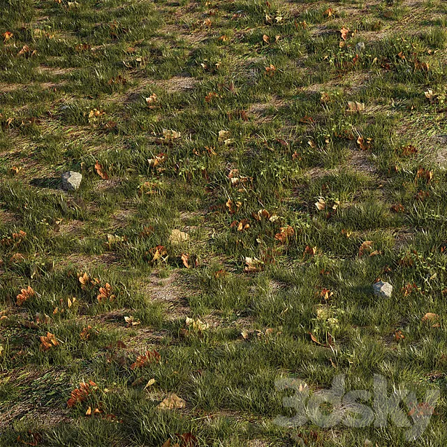 House grass or lawns 3D Model