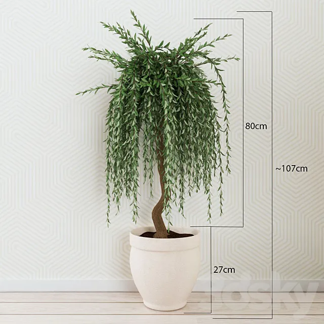 Houseplant 012 3DModel