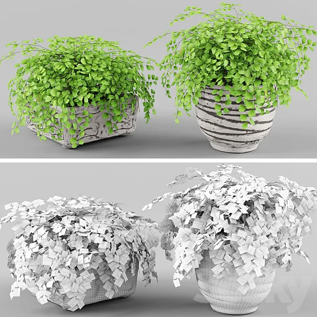 Houseplant 1 3DModel