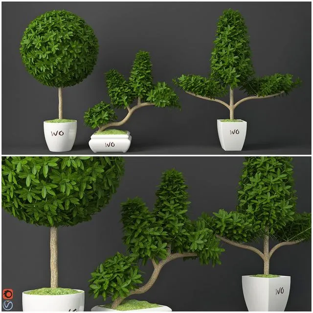 Houseplant 15 3D Model