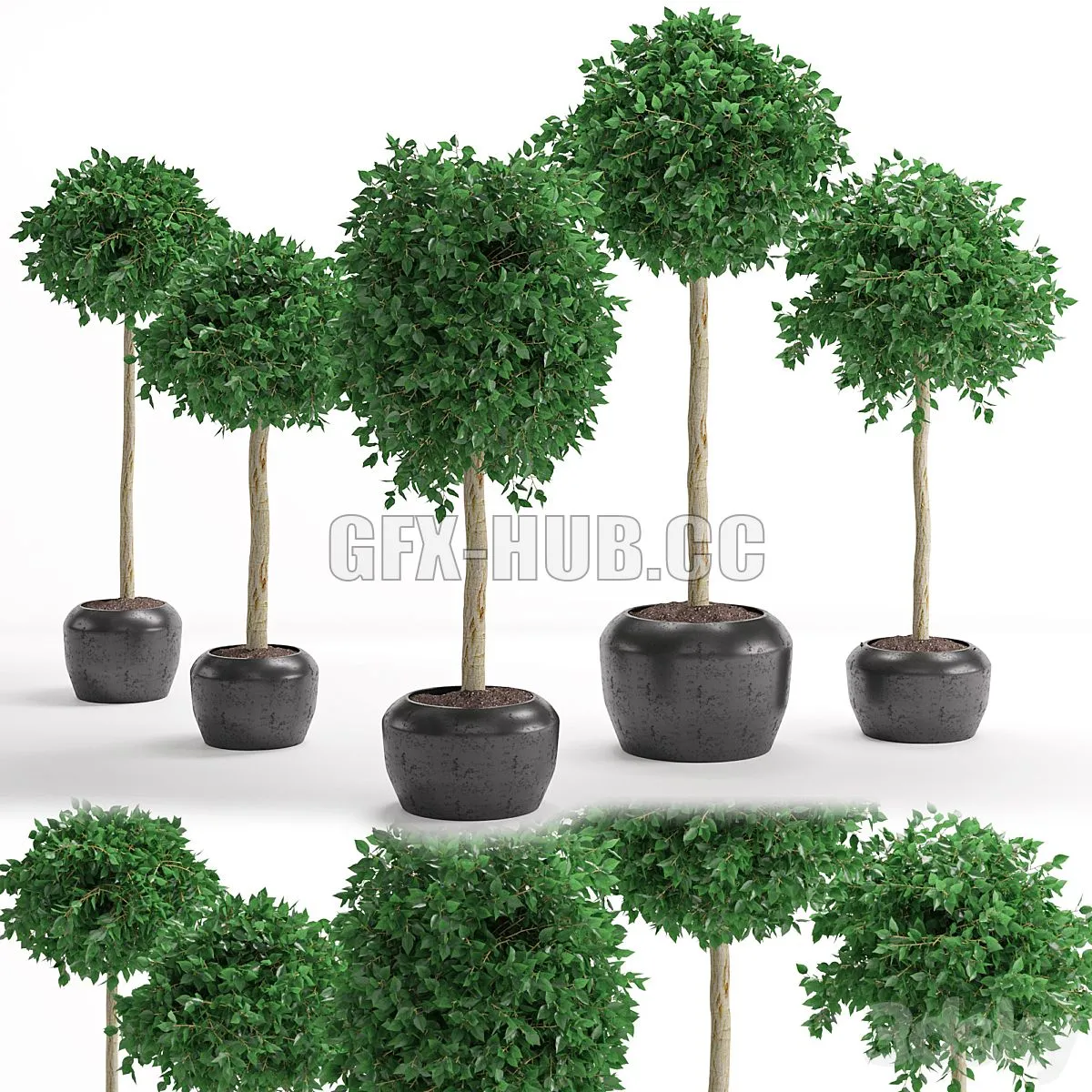 Houseplant 26 3D Model
