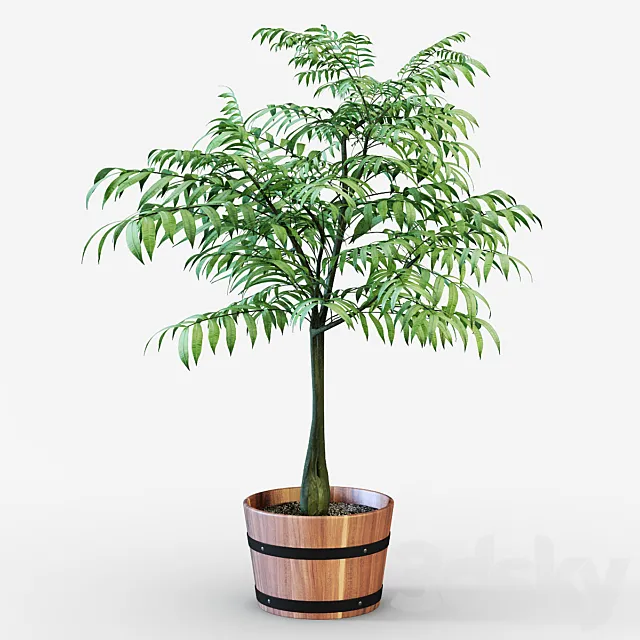 Houseplant 3D Model