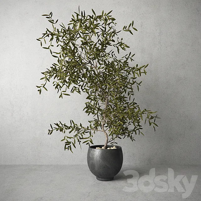 Houseplant 3DModel