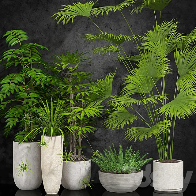 houseplant 3DModel
