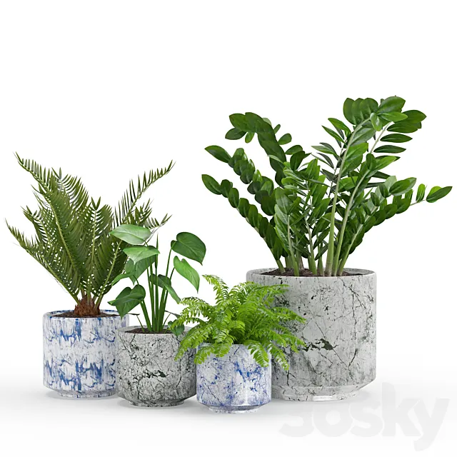 Houseplant 55 3D Model