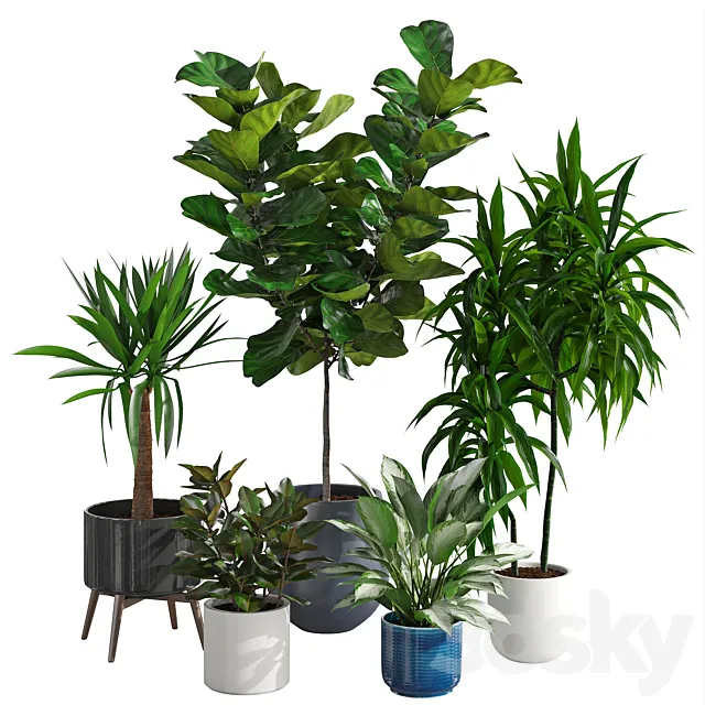 Houseplant 78 3D Model
