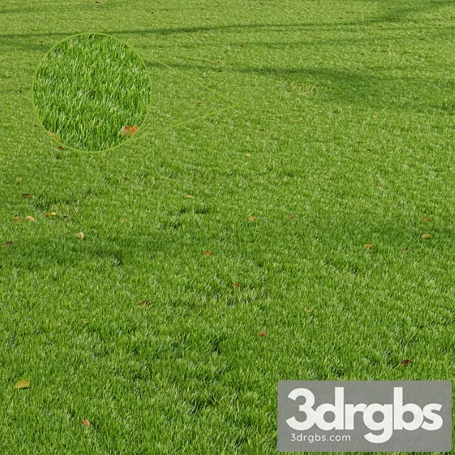 Hq Grass Park Summer 3D Model Download