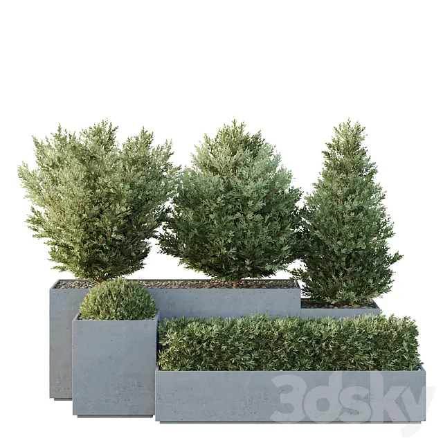 HQ Tree and bush garden box outdoor VOL 27 3D Model
