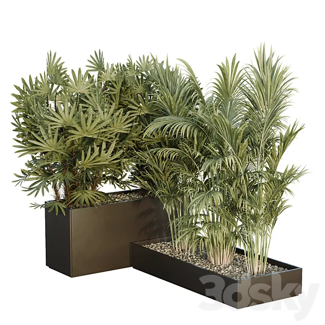 HQ Tree and bush garden box outdoor VOL 44 3D Model