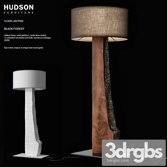 Hudson Black Forest 3D Model Free