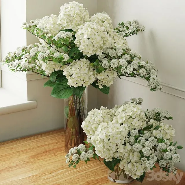 Hydrangea 002 3D Model