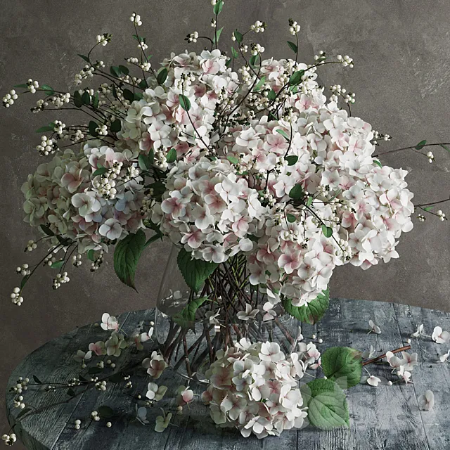 Hydrangea 3DModel